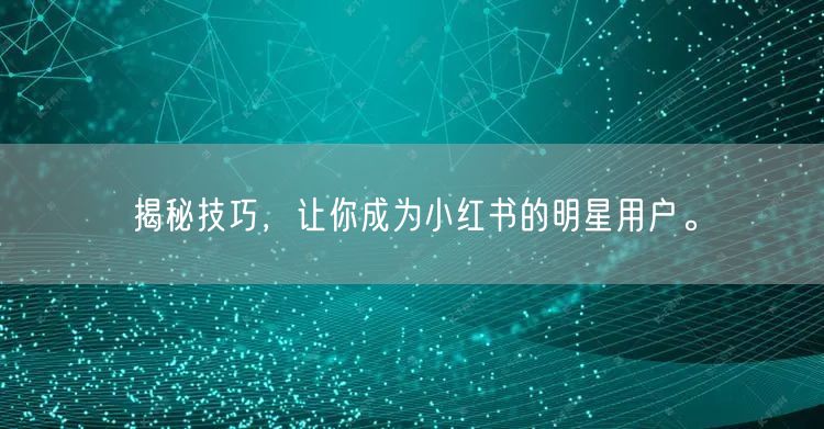 揭秘技巧，让你成为小红书的明星用户。