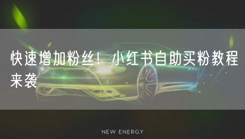 快速增加粉丝！小红书自助买粉教程来袭