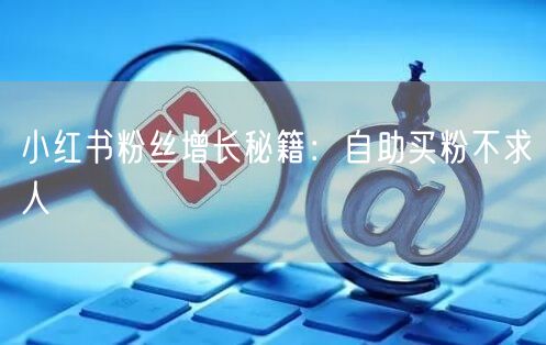 小红书粉丝增长秘籍：自助买粉不求人
