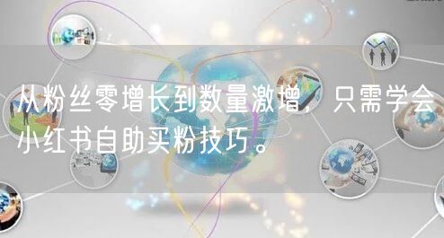 从粉丝零增长到数量激增，只需学会小红书自助买粉技巧。