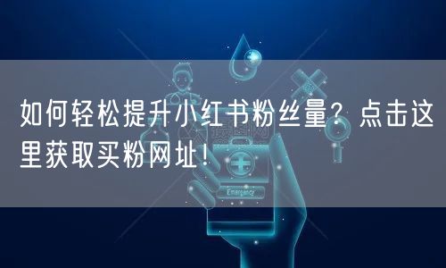 如何轻松提升小红书粉丝量？点击这里获取买粉网址！